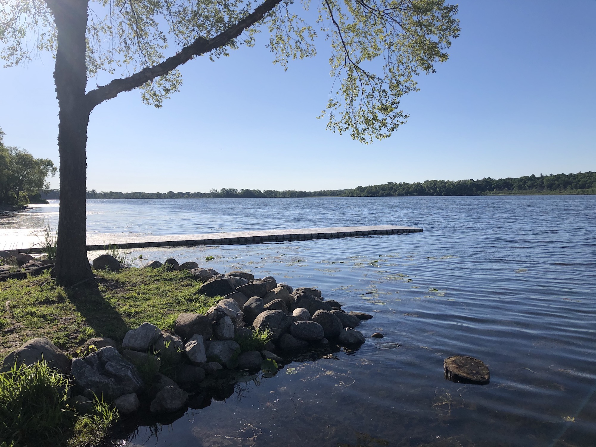 Lake Wingra on June 14, 2020.