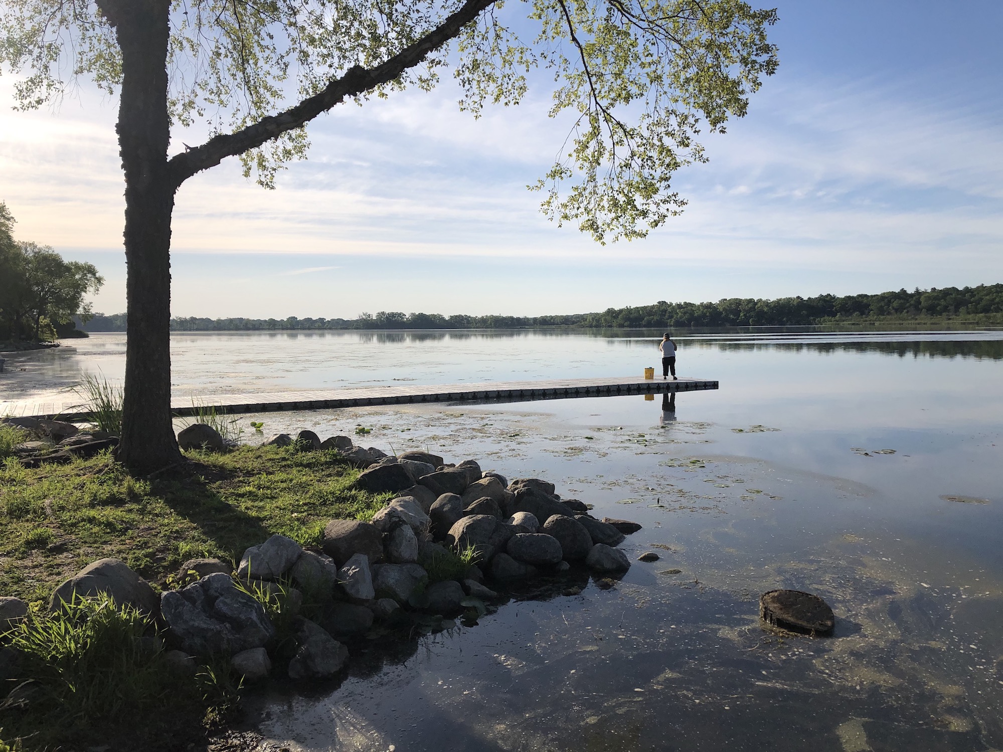 Lake Wingra on June 15, 2020.
