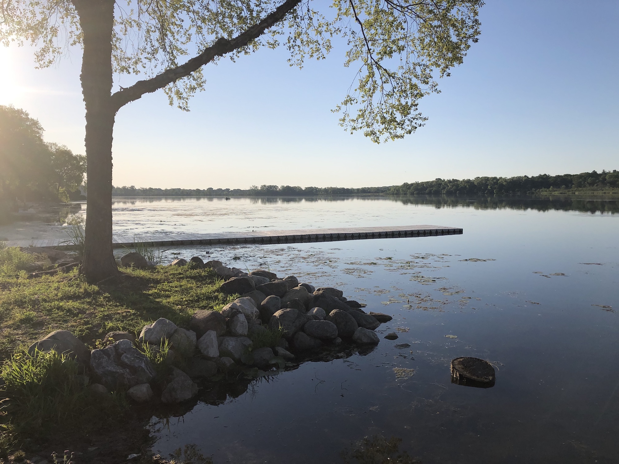 Lake Wingra on June 16, 2020.