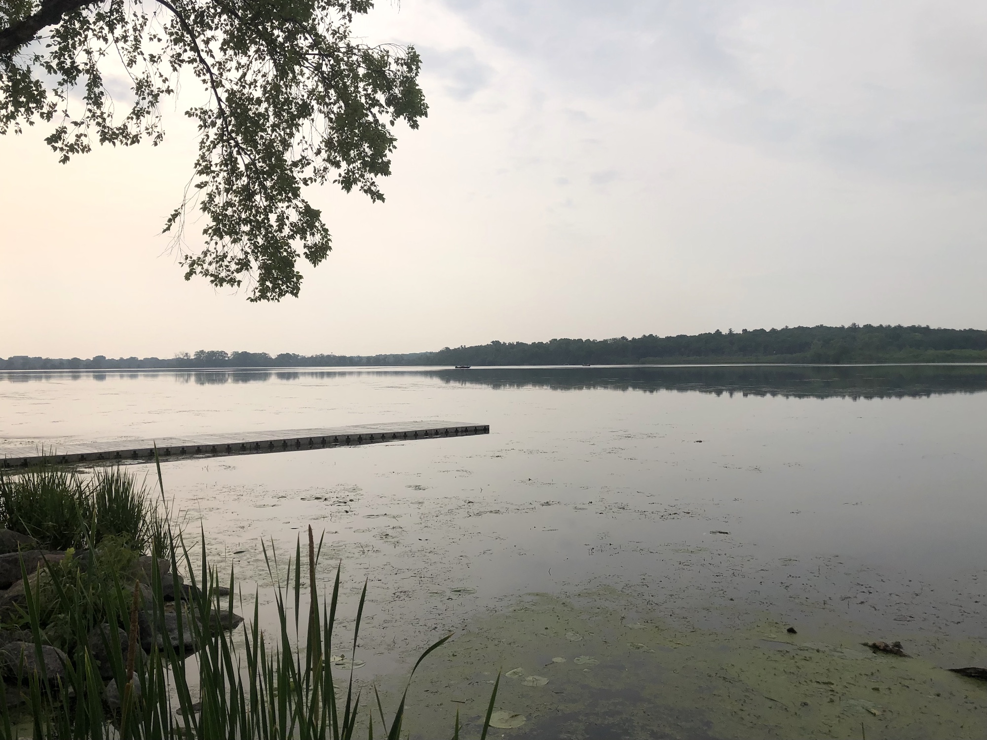Lake Wingra on June 18, 2023.