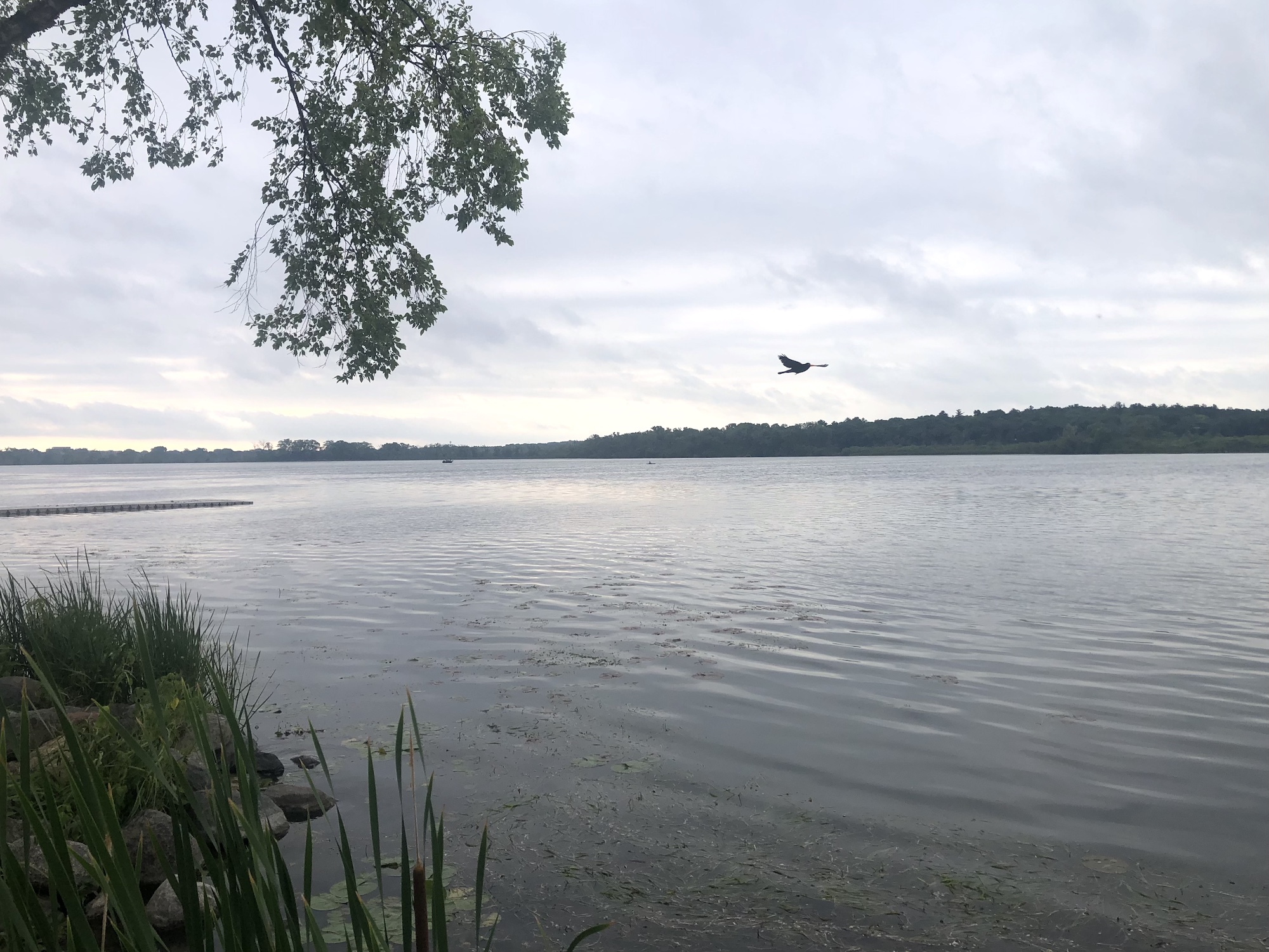 Lake Wingra on June 25, 2023.