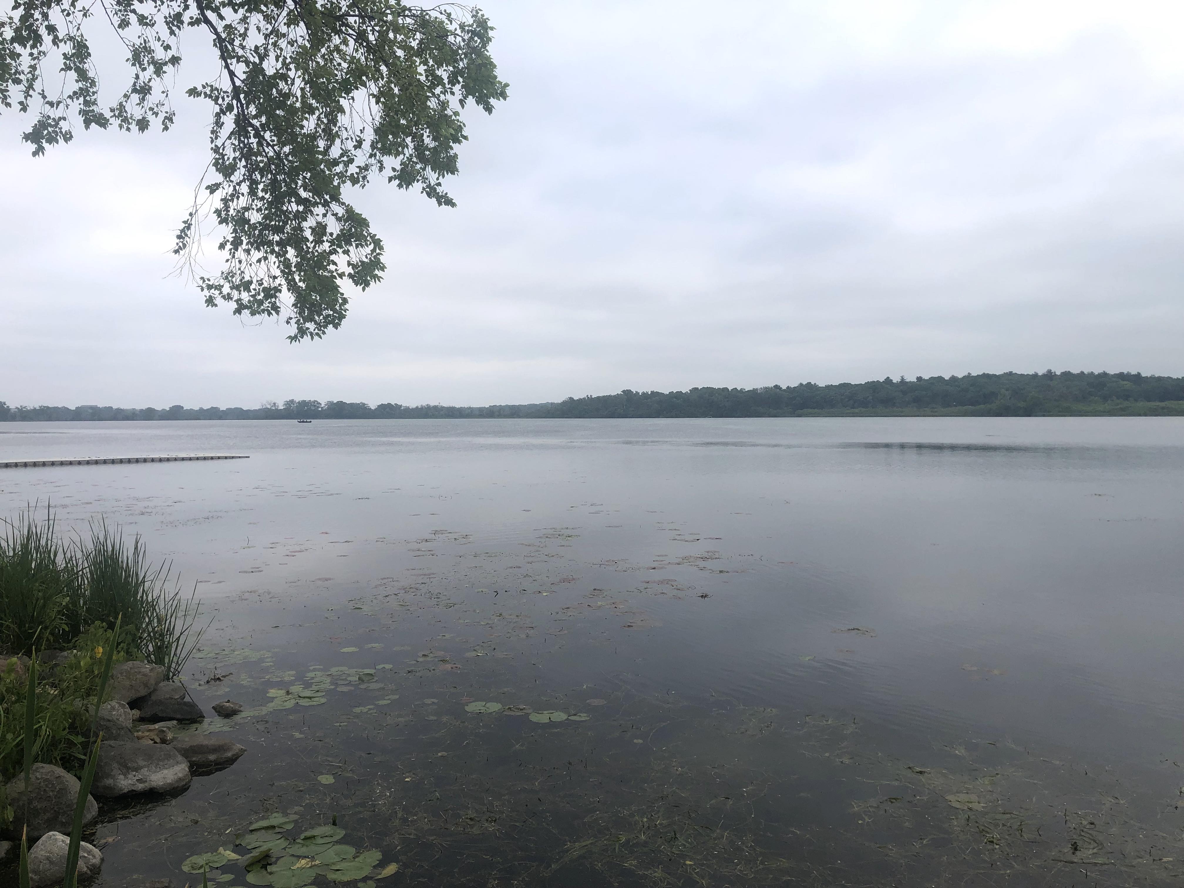 Lake Wingra on June 26, 2023.
