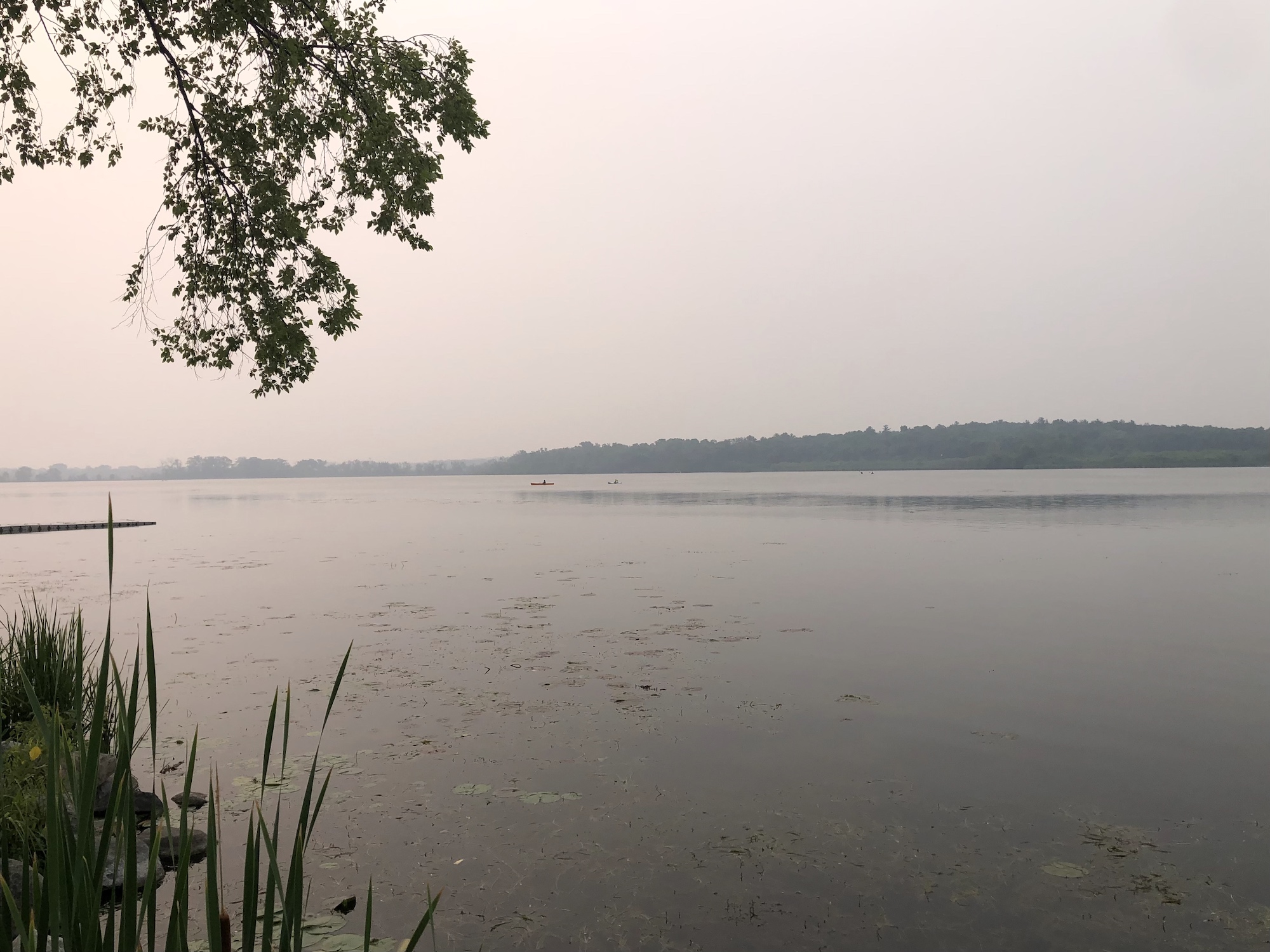 Lake Wingra on June 27, 2023.