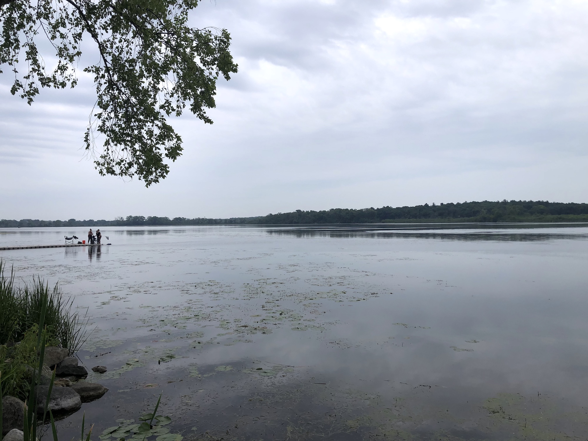 Lake Wingra on July 1, 2023.