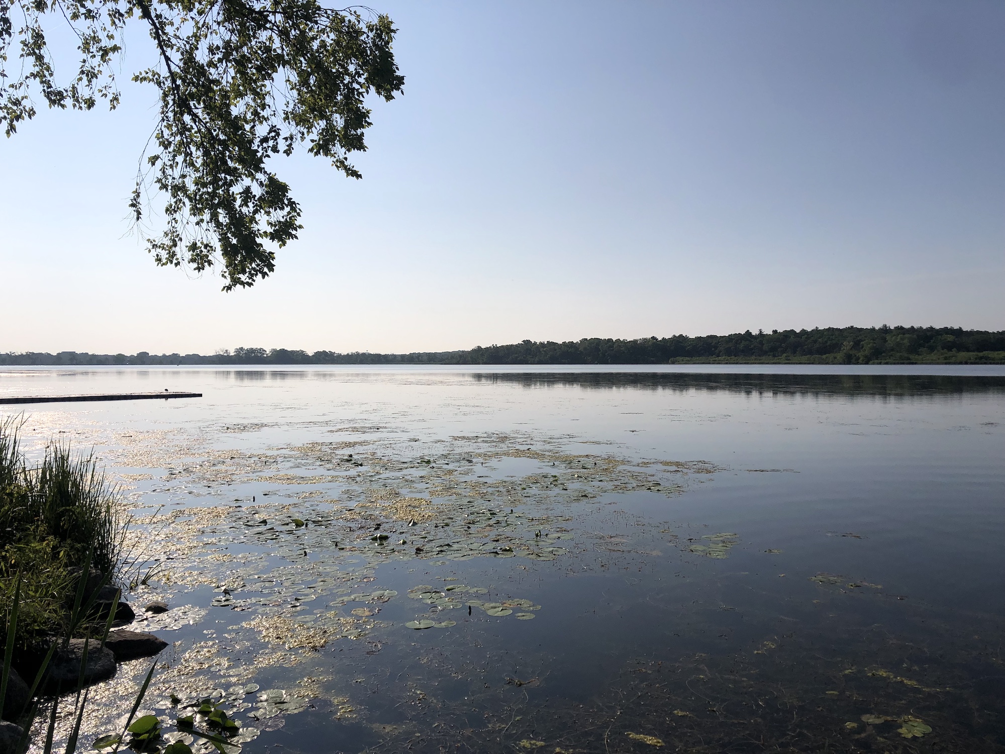 Lake Wingra on July 21, 2023.