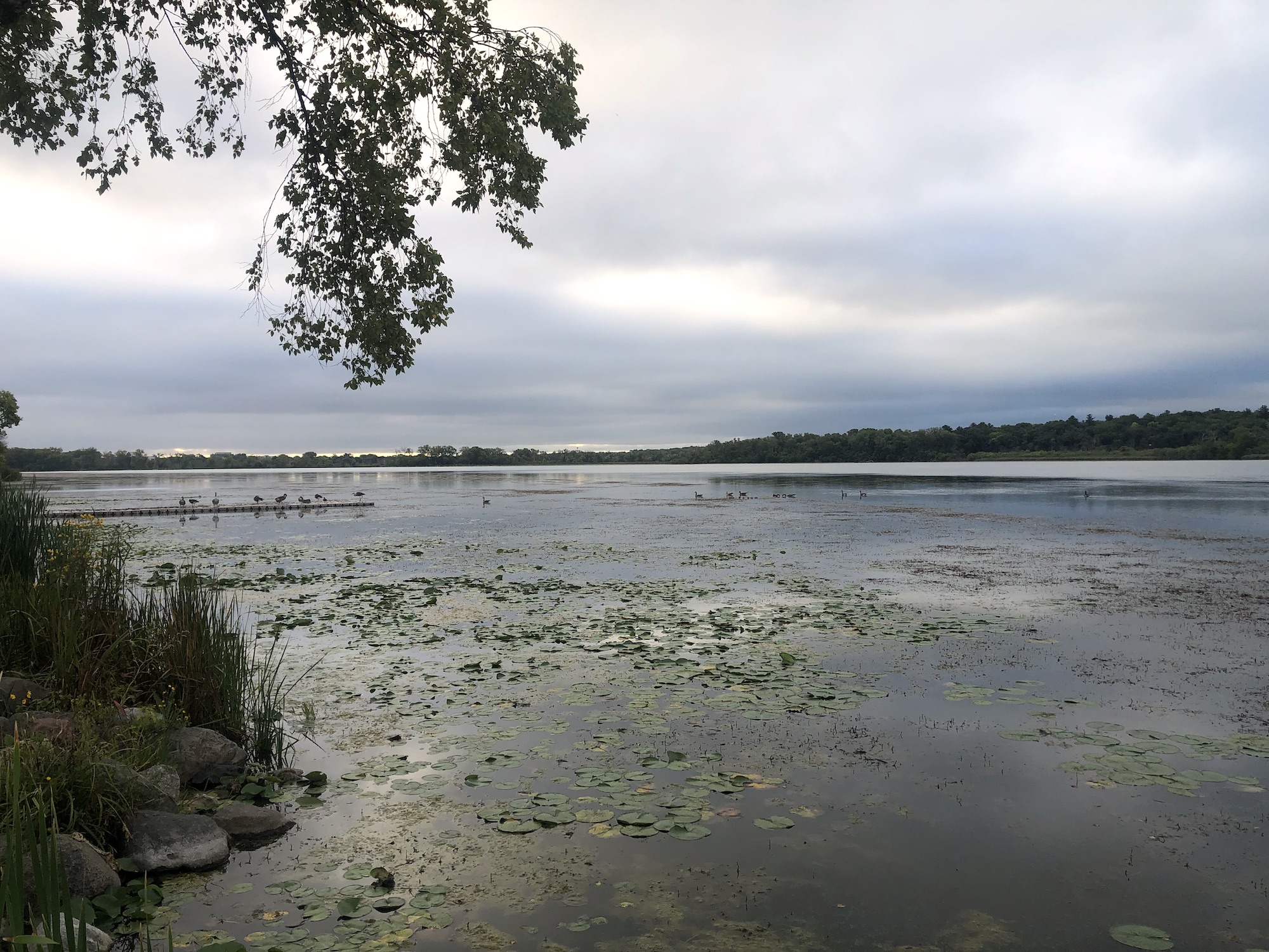 Lake Wingra on September 7, 2023.