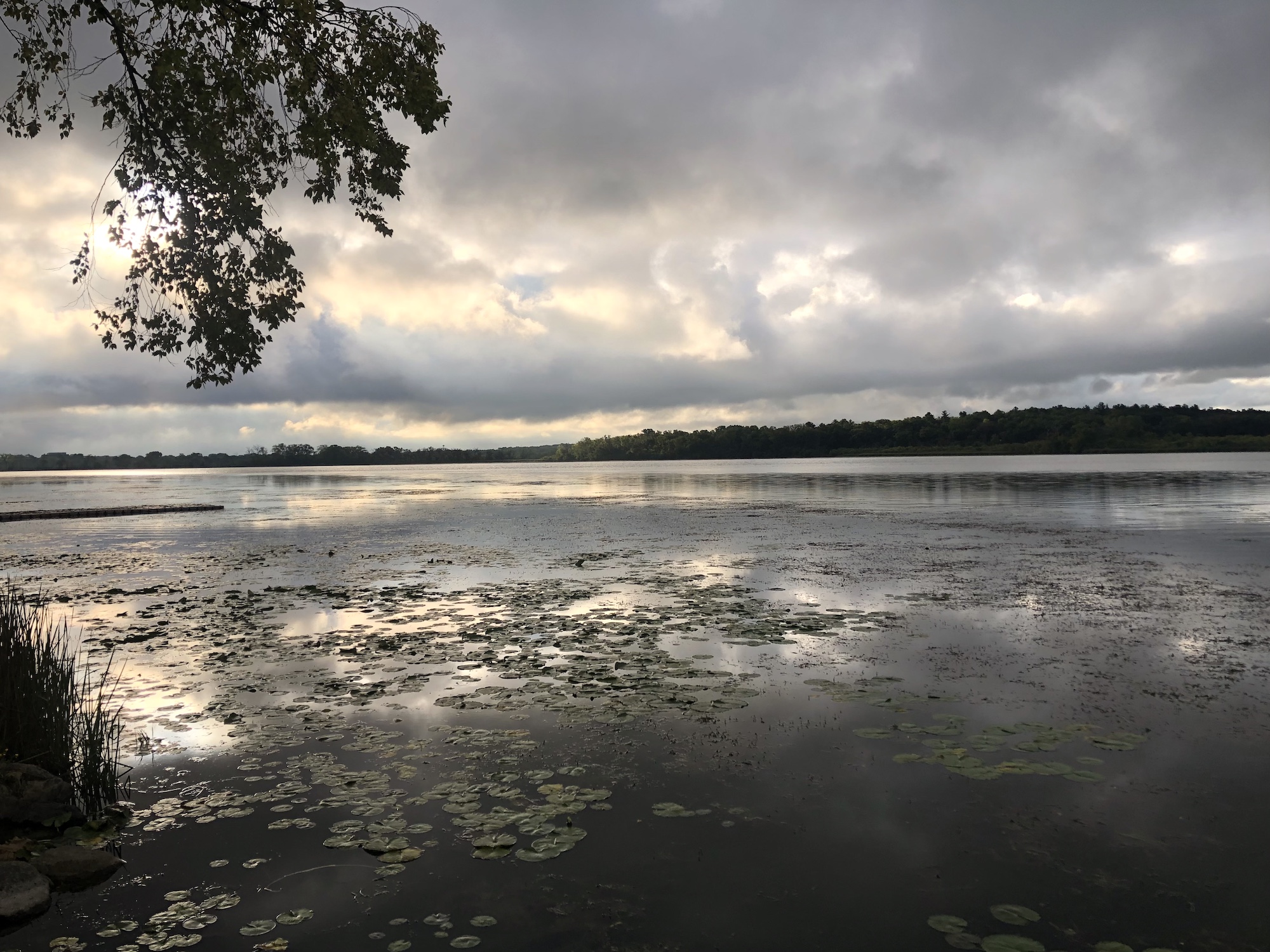 Lake Wingra on September 13, 2023.