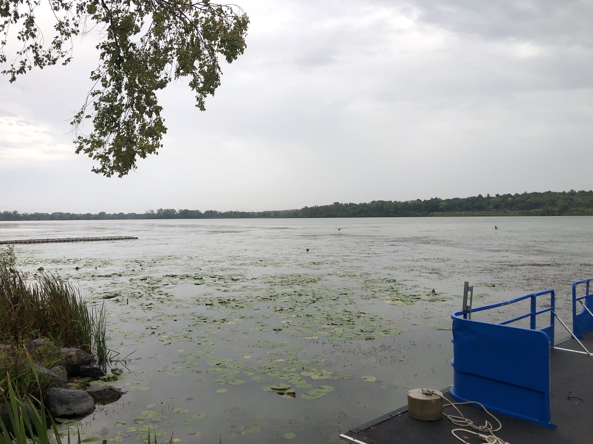 Lake Wingra on September 19, 2023.