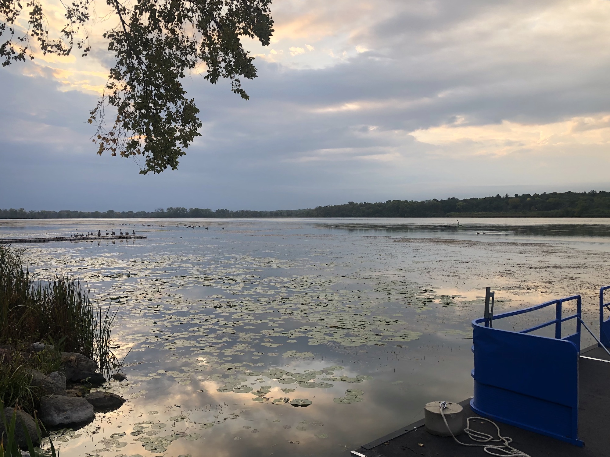 Lake Wingra on September 25, 2023.