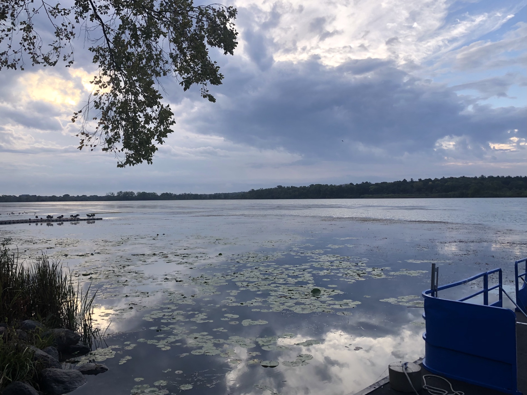 Lake Wingra on September 26, 2023.